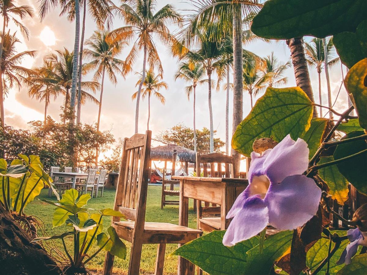 Maion Hotel E Boutique ปลายา เดสเปลโล ภายนอก รูปภาพ
